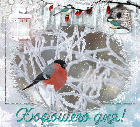 ЖИВЫЕ ФОТОГРАФИИ. AMAZING GIF. – Google+