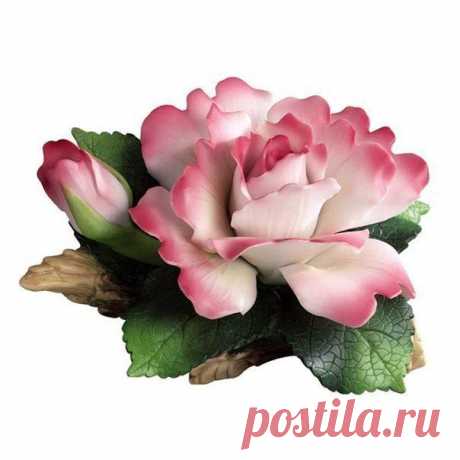 Дай человеку власть и
увидишь его истинное лицо !
Многие люди после
взлёта забывают с кем
ползали ... и какими были ... 

Чорная Роза
