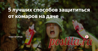 5 лучших способов защититься от комаров на даче Лето на даче это прекрасная пора,которую очень сильно омрачают летающие насекомые,нет ни одного человека которому было бы приятно чесаться от укусов комара или смотреть на красные пятна и волдыри.
Поэтому в этой статье мы собрали лучшие способы борьбы с комарами на даче.
1.Валериана
комары очень сильно бояться этого запаха,поэтому простое опрыскивание дачного дома или беседки валерианой отлично за