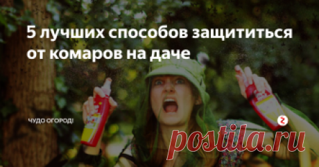 5 лучших способов защититься от комаров на даче Лето на даче это прекрасная пора,которую очень сильно омрачают летающие насекомые,нет ни одного человека которому было бы приятно чесаться от укусов комара или смотреть на красные пятна и волдыри.
Поэтому в этой статье мы собрали лучшие способы борьбы с комарами на даче.
1.Валериана
комары очень сильно бояться этого запаха,поэтому простое опрыскивание дачного дома или беседки валерианой отлично за