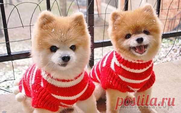 ПЯТНИЦА НАСТУПИЛА