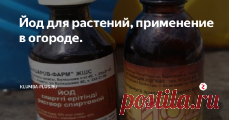 Йод для растений, применение в огороде. Йод всегда есть в домашней аптечке – это прекрасный антисептик для обеззараживания царапин, ссадин. Йод для растений также может быть полезен в качестве защиты от болезней, а подкормка йодом рассады и взрослых растений усиливает рост, цветение, ускоряет созревание плодов.
Применение йода в огороде безопасно для растений, для почвы и для человека, при соблюдении простых мер предосторожности и не пр