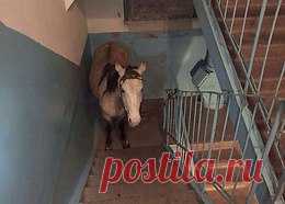 Дамы, колитесь, чей принц припарковался?