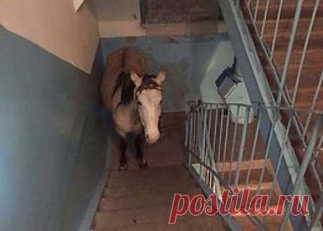 Дамы, колитесь, чей принц припарковался?