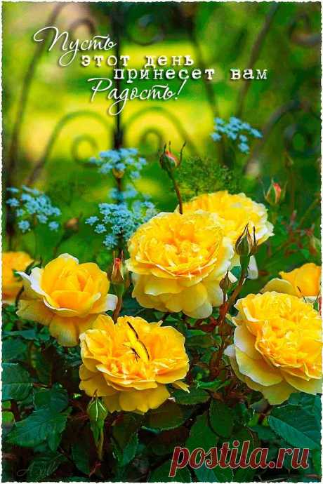 0_ae0d3_e80a33c7_orig (667×1000)