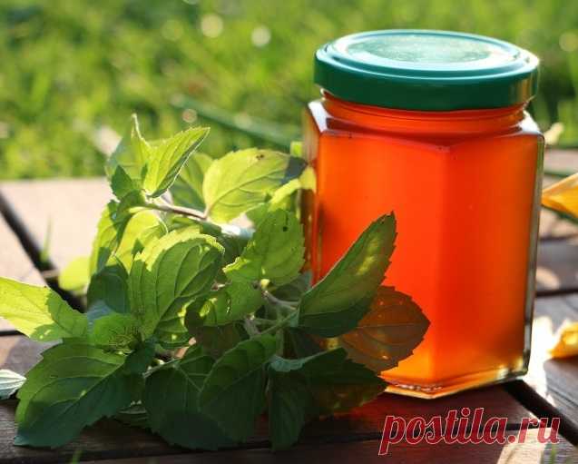 Желе из мяты — десерт для гурманов