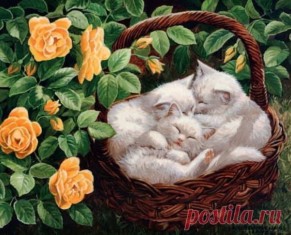 Persis Clayton Weirs.