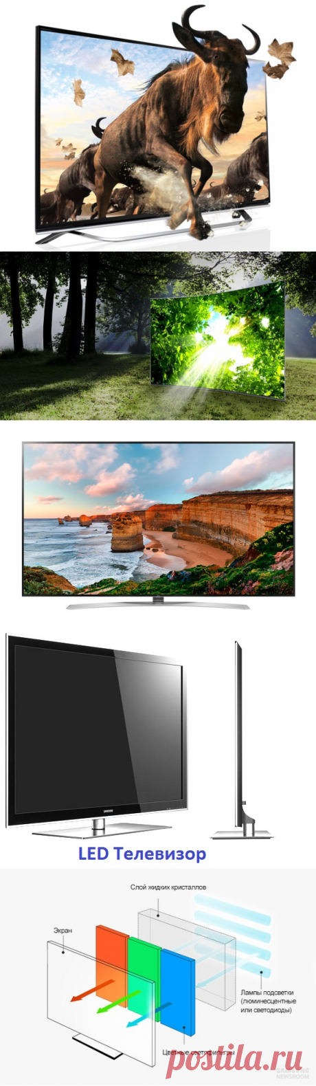 Телевизор плазменный, ЖК, LCD, LED, OLED, На квантовых точках. Какой выбрать