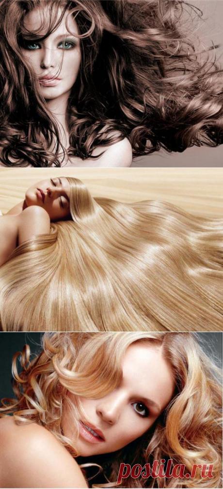 Мифы о шампунях для волос