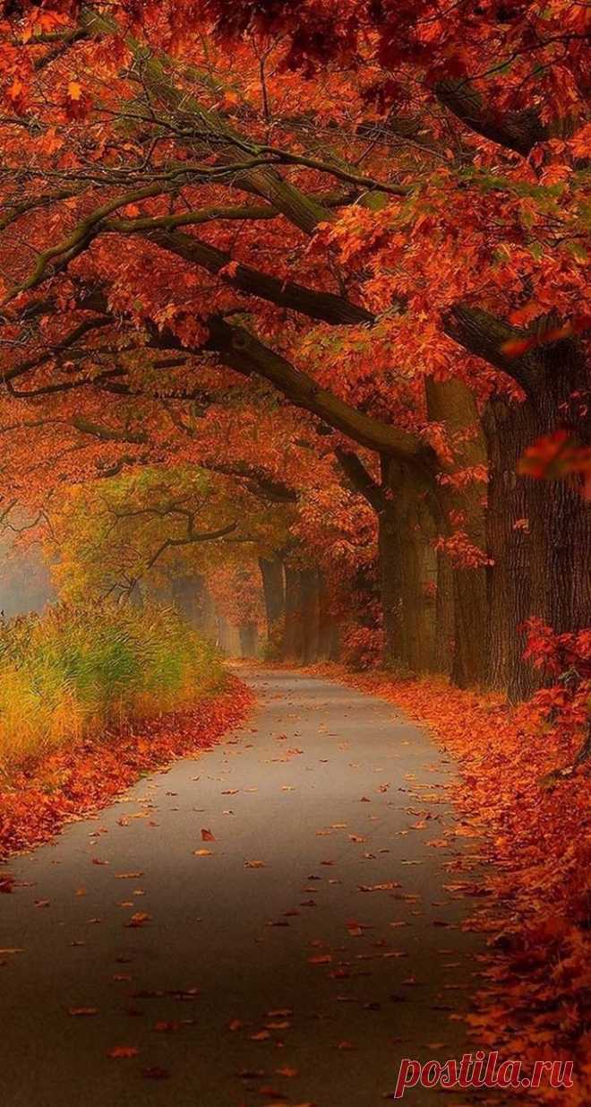 sıtkı All Nature