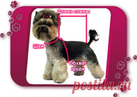 Комбинезоны для собак