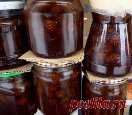 Высылаю готовую настойку на зимней красной шишке...

ВОССТАНОВЛЕНИЕ ПОСЛЕ ИНСУЛЬТА,
ИНФАРКТА.
СТЕНОКАРДИЯ,
ИШЕМИЯ,
ГИПЕРТОНИЯ, 
БОЛЕЗНИ СЕРДЦА,
БОЛЕЗНИ КРОВЕНОСНЫХ СОСУДОВ (. тромбоз глубоких вен и эмболия легких – образование в ножных венах сгустков крови, которые могут смещаться и двигаться к сердцу и легким),
ПРОФИЛАКТИКА ОНКОЛОГИИ ...
Сосновая шишка является видоизмененным побегом, который развивается на концах ветвей известного дерева. Это производное самого распростр...
