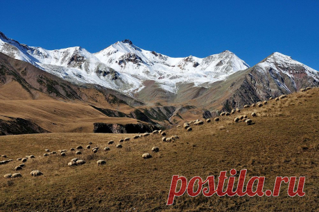 Алкоголь и путешествия | Пропорции счастья