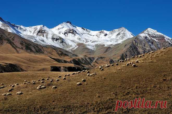 Алкоголь и путешествия | Пропорции счастья
