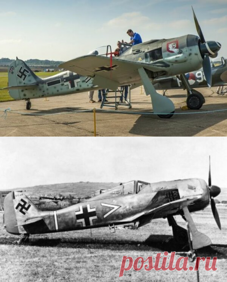 &quot;Спитфайр-5&quot; или &quot;Fw190&quot;: кто правил небесами в времена второй мировой? | Fraid | Яндекс Дзен