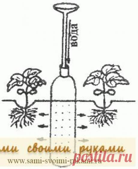 Капельный полив из бутылок | Сами своими руками