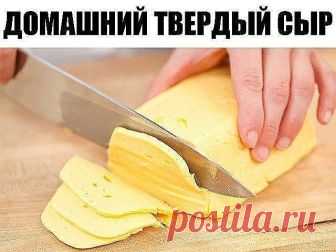 Домашний твердый сыр
Приготовить домашний твердый сыр не так уж и сложно. Такой сыр можно смело давать малышу, ведь в нем не будет никаких ароматических добавок и красителей.
Ингредиенты:
- 500 грамм жирного творога (не менее 9%) зернистого
- 500 мл молока (чем жирнее, тем лучше, но я брала обычное 3,2%)
- 50 грамм сливочного масла
- 0,5 чайной ложки соды
- 1 яйцо
- соль по вкусу (примерно 0,5 чайной ложки)
Способ приготовления домашнего твердого сыра:
1. Выливаем молоко в...