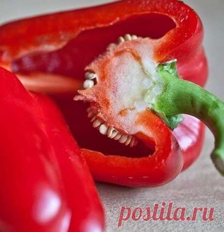 Очень хороший сорт сладкого перца. Урожайный и неприхотливый