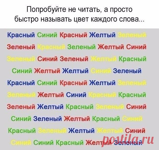 Академия Умных Людей 👑