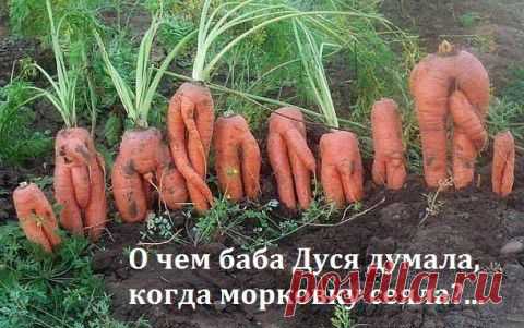 Народное экспромтное творчество 43. | Приколисты