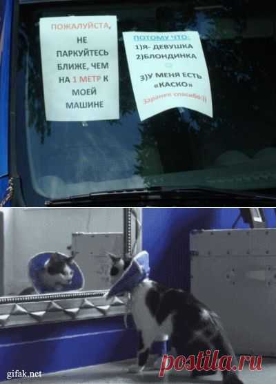 Порция вечернего юмора
