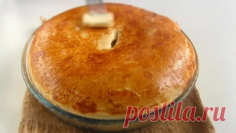 Мягкий сочный  пирог с мясом (курицей) и соусом "Бешамель"