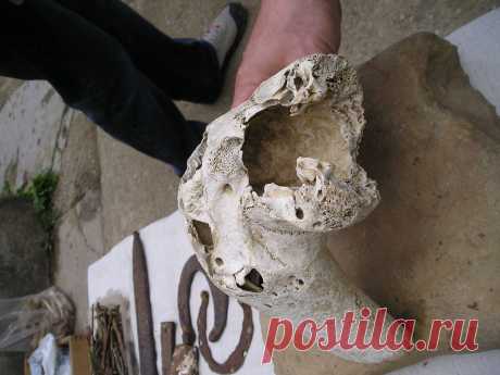 Рога не нарост на черепе, а продолжение черепа.