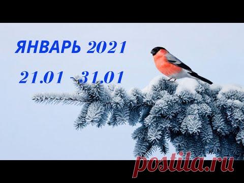 Таро прогноз на январь 2021 года (период с 21.01.21 по 31.01.21) Расклад на колоде  Оракул Симболон