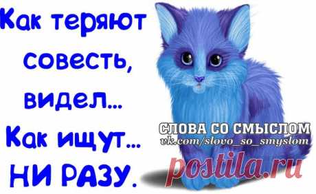Прикольные фразочки