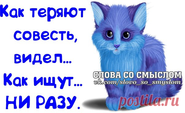 Прикольные фразочки