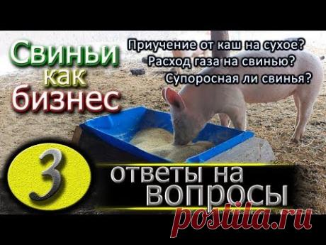 СУХОЕ КОРМЛЕНИЕ СВИНЕЙ