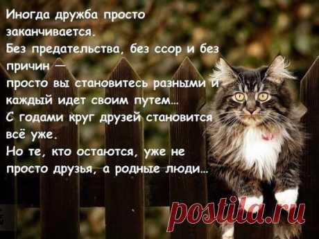 (1) Одноклассники