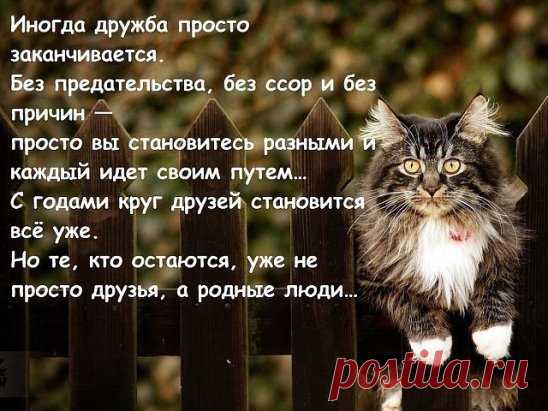 (1) Одноклассники