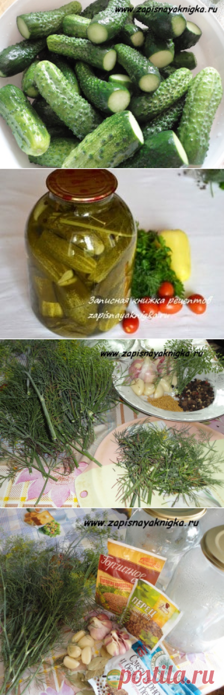 Огурцы с лимонной кислотой на зиму