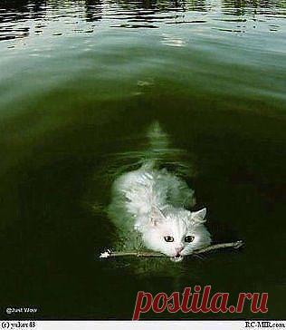 С юмором по жизни ☺☺☺