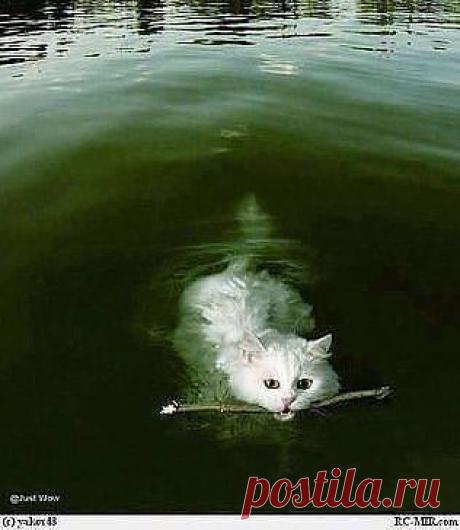 С юмором по жизни ☺☺☺