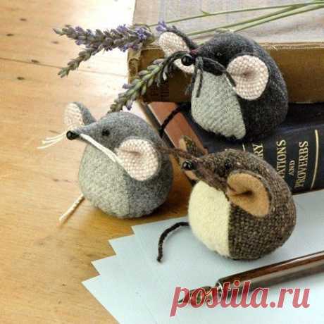 Новости