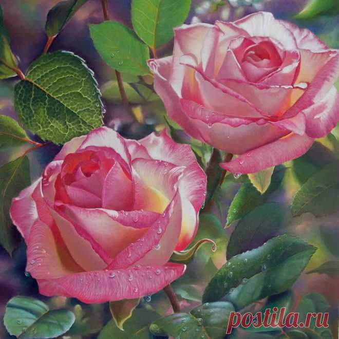 h-4790.jpg (840×840)