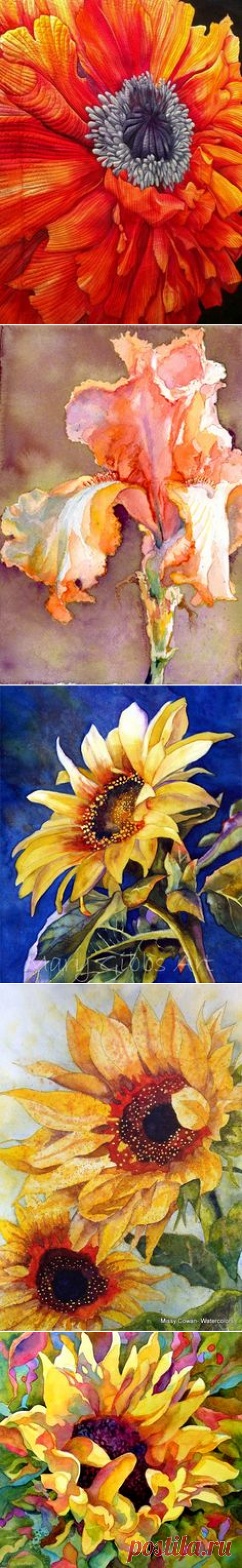 (191) Pinterest • Всемирный каталог идей