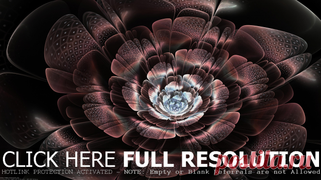 Cool abstract flower | Wallpapers, Backgrounds, Images, Art Photos.