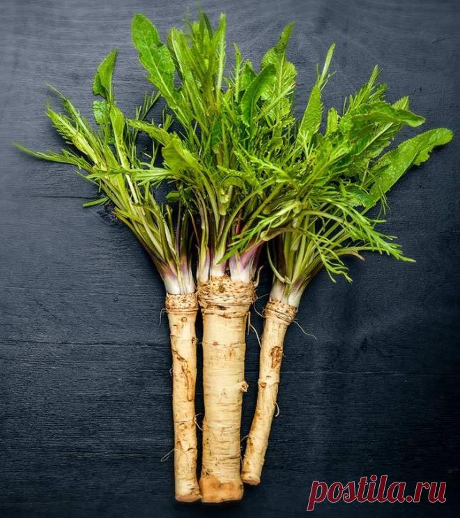 3 блюда из хрена: соус, масло и заправка! | Вкусные рецепты