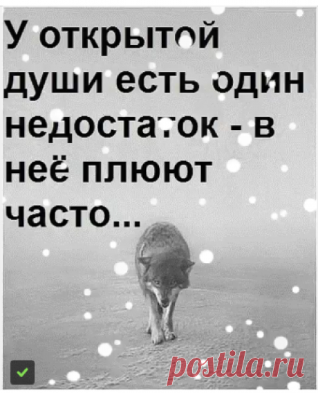 (1) Одноклассники