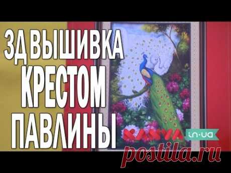 #ВЫШИВКА КРЕСТОМ 3Д: павлины. #ОБЗОР набора с нанесенным рисунком на канву