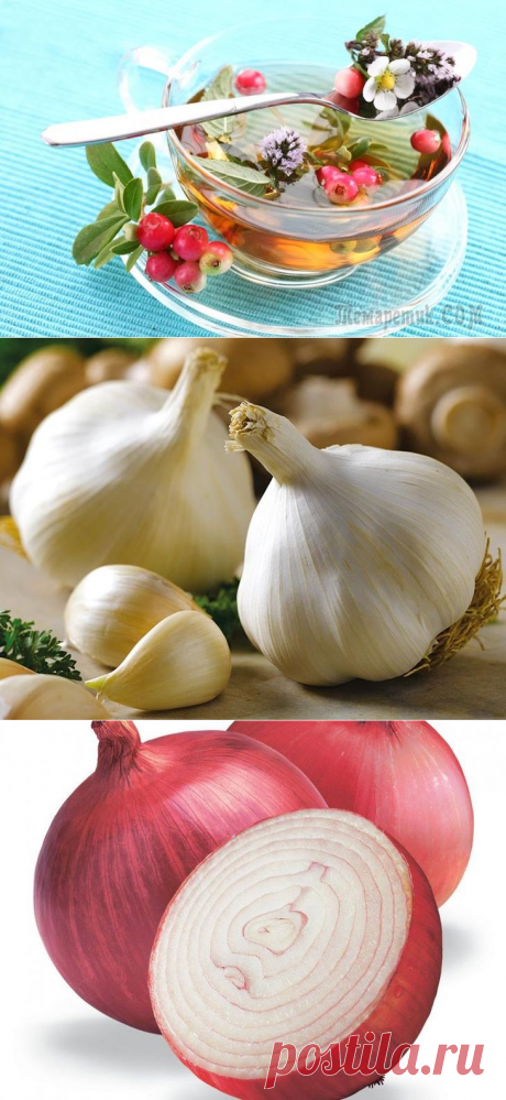 Натуральные антибиотики, которые найдутся у каждого в доме