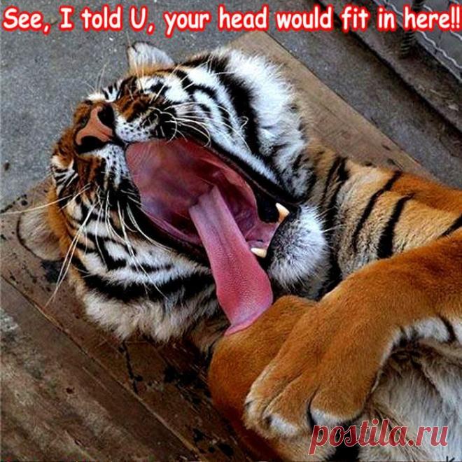 Highest Paying Media Site on the Web!