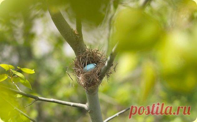  Притча «Картина, излучающая покой и умиротворение»