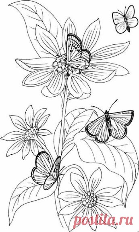 Найдено на сайте picasaweb.google.com.