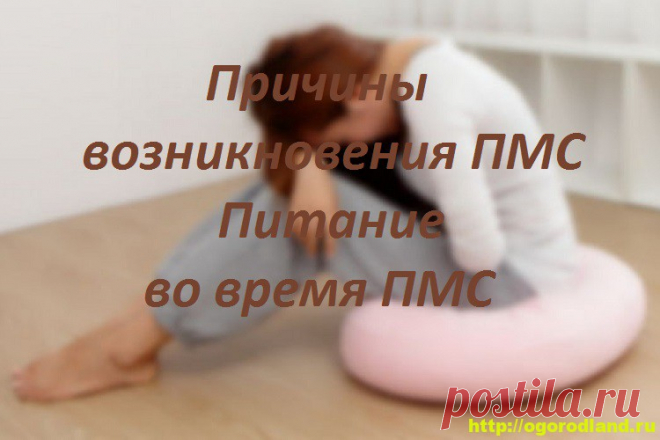 Причины возникновения ПМС. Питание во время ПМС   Каждая женщина в определенном возрасте сталкивается с проблемой ПМС. Кто-то начинает