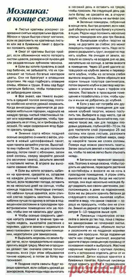 Дачные советы
