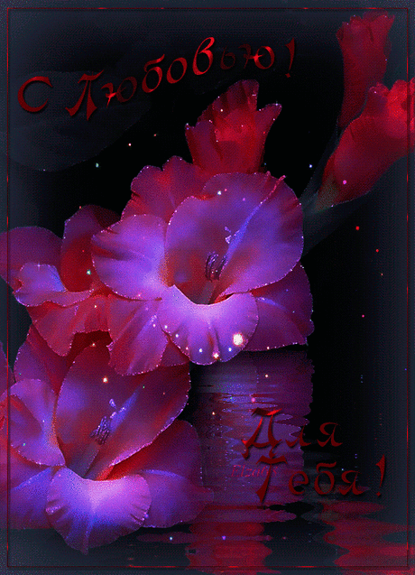 Красивые гиф-анимации с цветами (70 картинок) 🔥 Прикольные картинки и юмор